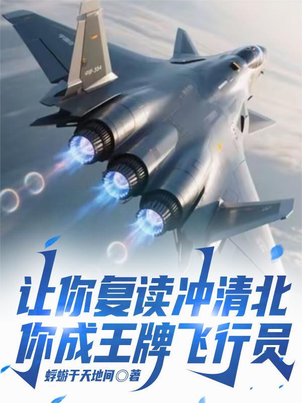 你成王牌飞行员 短剧