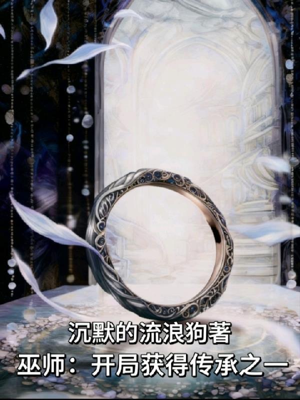 开局巫师传承四合院