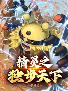 精灵宝可梦之登神长街百度