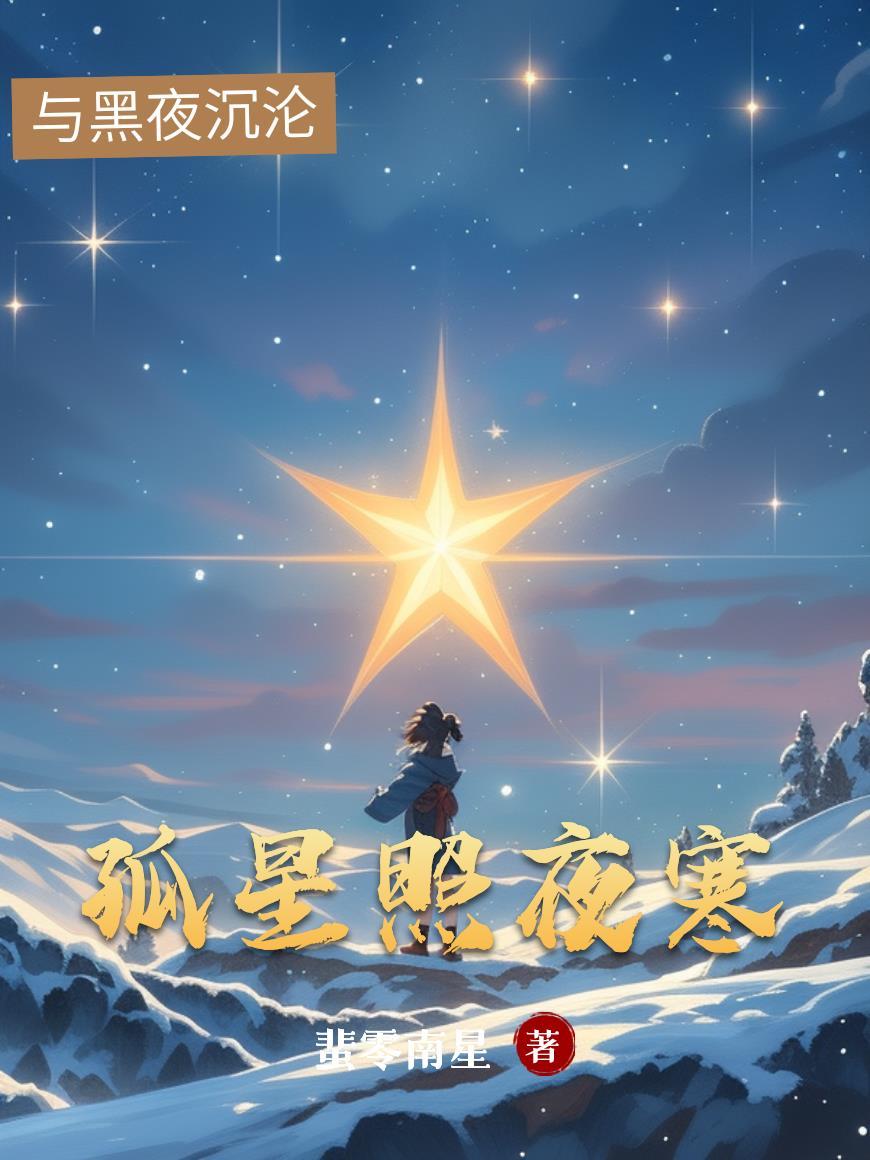 孤星照夜寒蜚零南星写的的怎么样
