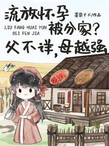 流放边关穿越全集