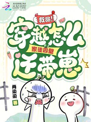 穿越成家徒四壁TXT