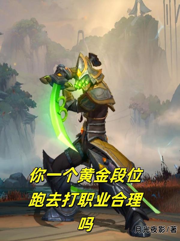段位黄金1一个月有多少钱