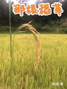 一根稻草暗示什么