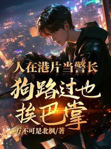 超级警探大战悍匪游戏